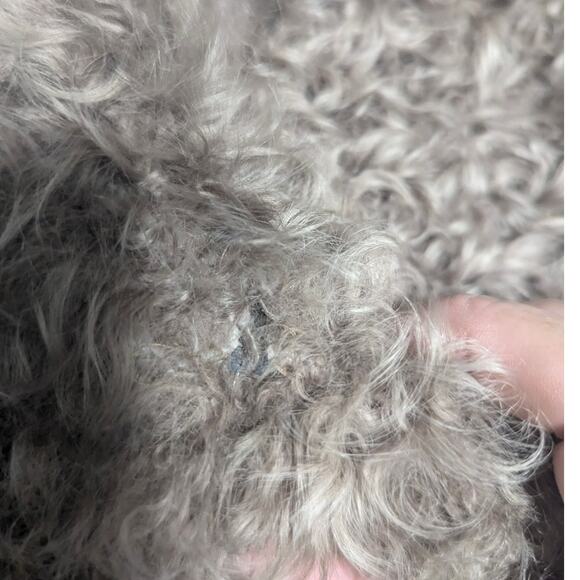 Chloé 1970s Karl Lagerfeld Mongolian Lamb Fur Reversible Coat Gray Taupe 6 SEE - Picture 9 of 12